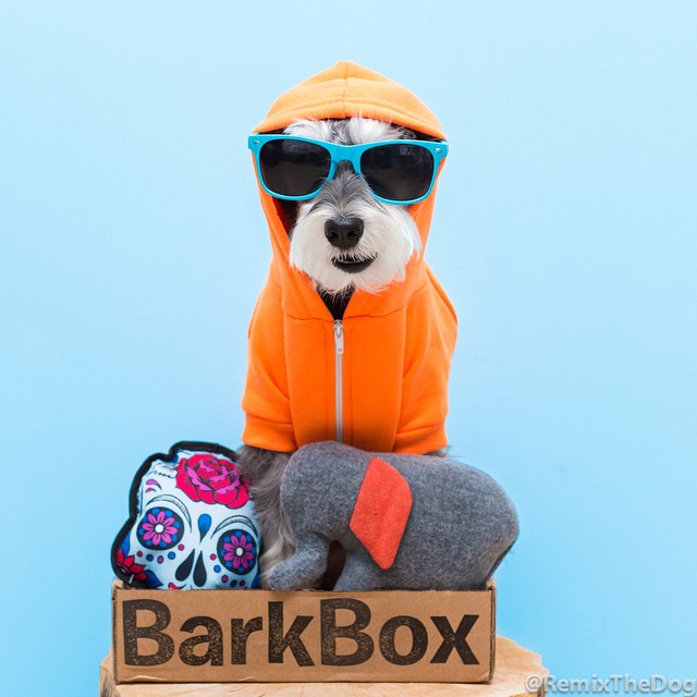 RemixTheDog - BarkBox Coupon Code