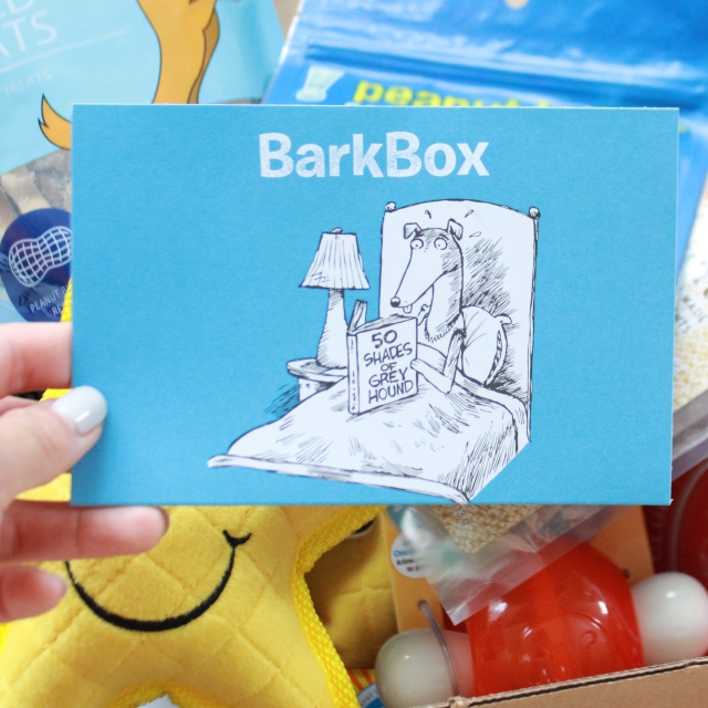 RemixTheDog - September 2015 BarkBox Review