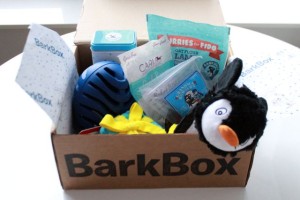 RemixTheDog - BarkBox December 2015 Review