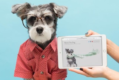 RemixTheDog - SquareSpace Cover Page