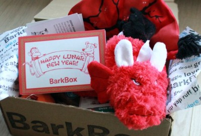 BarkRemixTheDog - BarkBox February 2016 Review