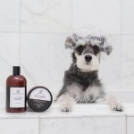 For Dirty Dogs Shampoo Review