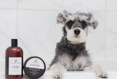 For Dirty Dogs Shampoo Review