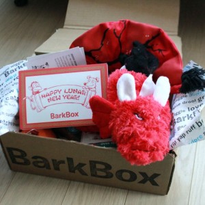 BarkRemixTheDog - BarkBox February 2016 Review